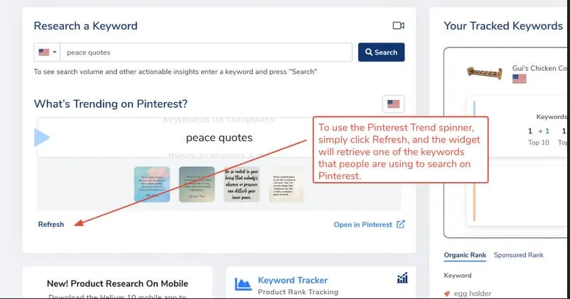 Find a new keyword trending on Pinterest