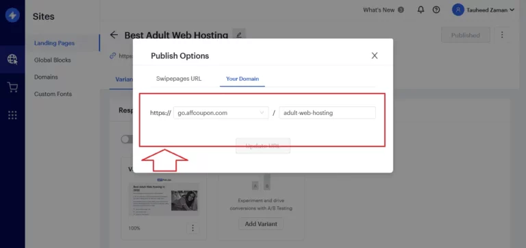Swipe Pages Custom Domains