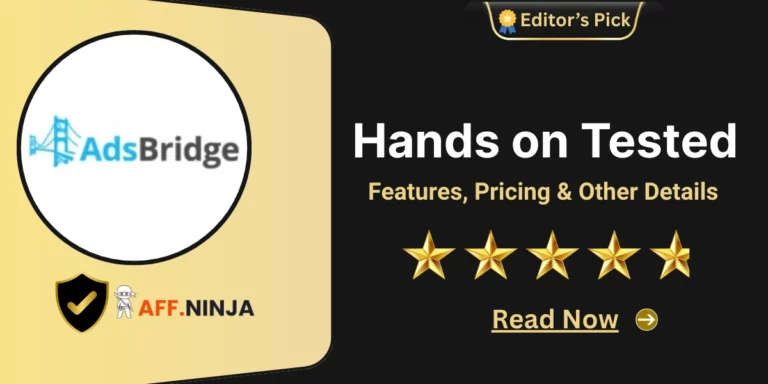 AdsBridge Review-