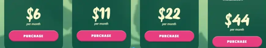 Vicetemple pricing plans