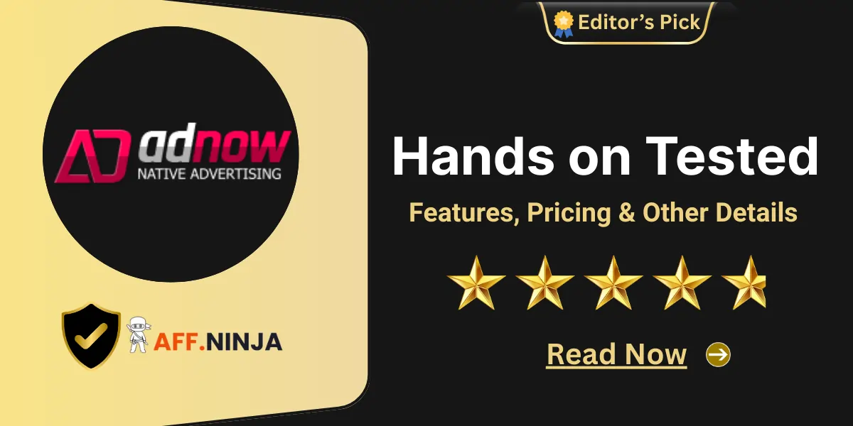 AdNow Native Advertising Review